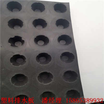 新闻 潍坊hdpe排水板经销商 现货供应 